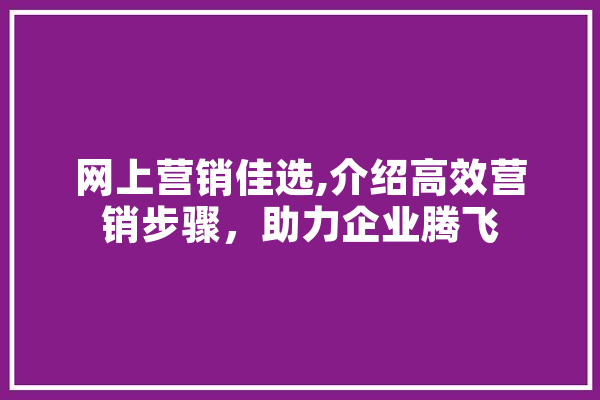 网上营销佳选,介绍高效营销步骤，助力企业腾飞