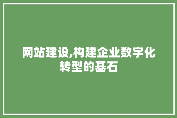 网站建设,构建企业数字化转型的基石