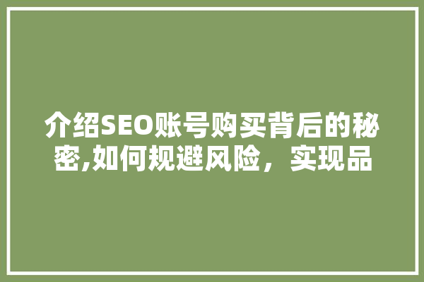 介绍SEO账号购买背后的秘密,如何规避风险，实现品牌价值最大化