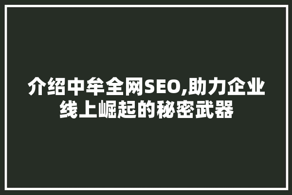 介绍中牟全网SEO,助力企业线上崛起的秘密武器