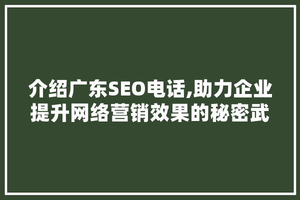 介绍广东SEO电话,助力企业提升网络营销效果的秘密武器