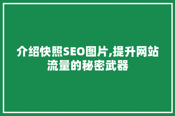 介绍快照SEO图片,提升网站流量的秘密武器
