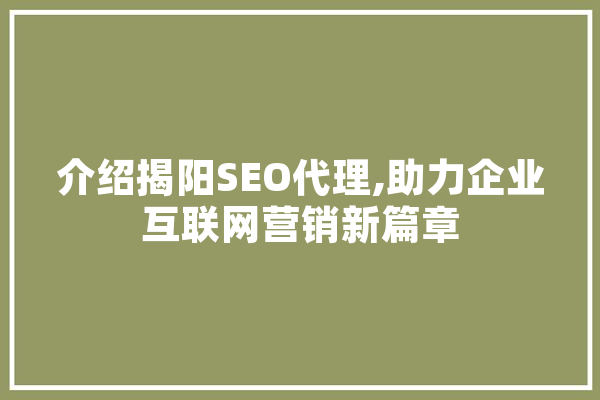 介绍揭阳SEO代理,助力企业互联网营销新篇章
