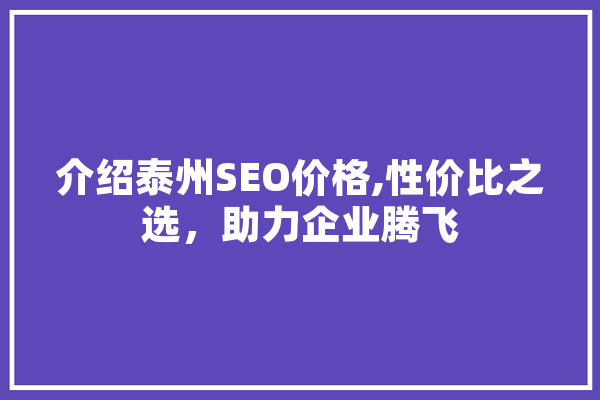 介绍泰州SEO价格,性价比之选，助力企业腾飞