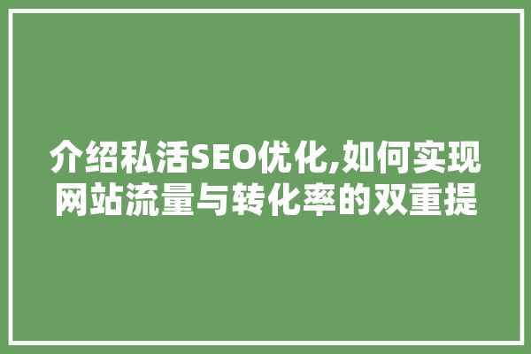 介绍私活SEO优化,如何实现网站流量与转化率的双重提升