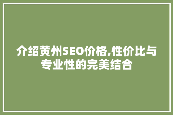介绍黄州SEO价格,性价比与专业性的完美结合