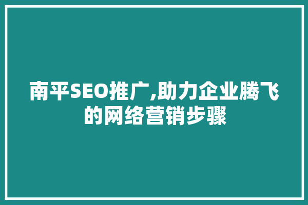 南平SEO推广,助力企业腾飞的网络营销步骤