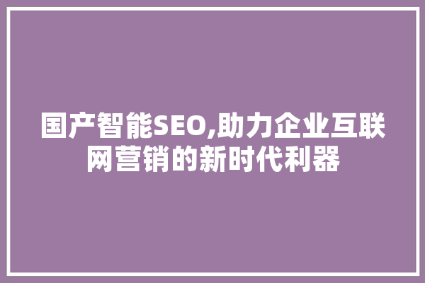 国产智能SEO,助力企业互联网营销的新时代利器