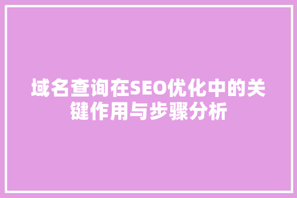 域名查询在SEO优化中的关键作用与步骤分析