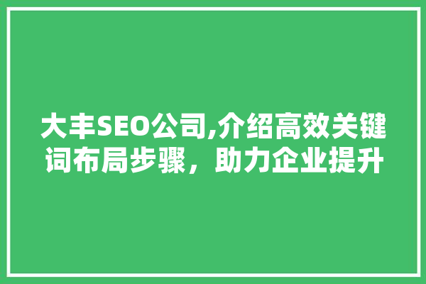 大丰SEO公司,介绍高效关键词布局步骤，助力企业提升网络影响力
