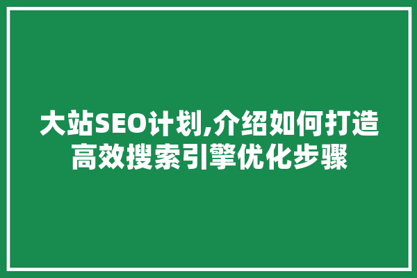 大站SEO计划,介绍如何打造高效搜索引擎优化步骤