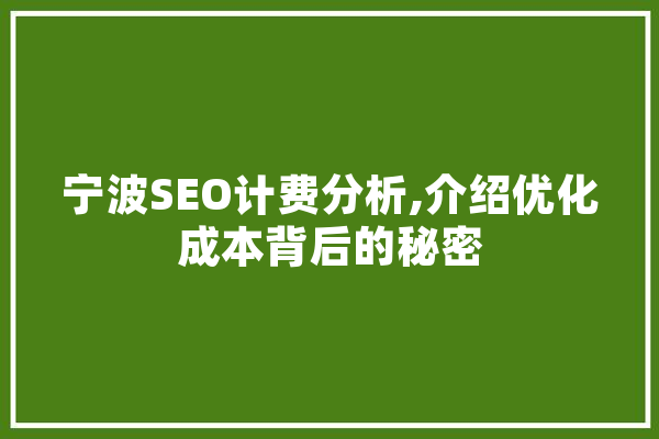 宁波SEO计费分析,介绍优化成本背后的秘密