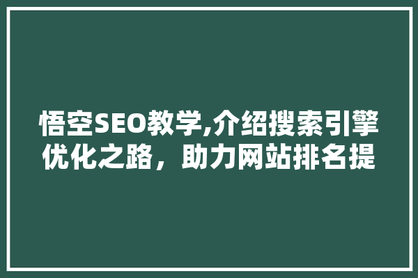 悟空SEO教学,介绍搜索引擎优化之路，助力网站排名提升