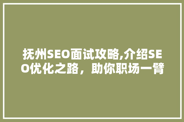 抚州SEO面试攻略,介绍SEO优化之路，助你职场一臂之力