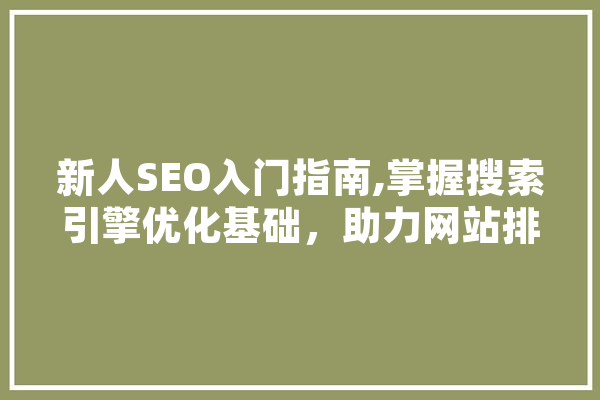新人SEO入门指南,掌握搜索引擎优化基础，助力网站排名提升