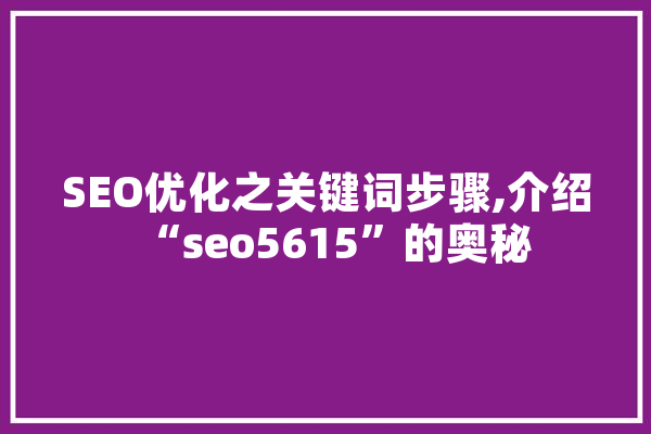 SEO优化之关键词步骤,介绍“seo5615”的奥秘
