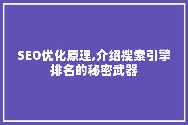 SEO优化原理,介绍搜索引擎排名的秘密武器 AI简讯