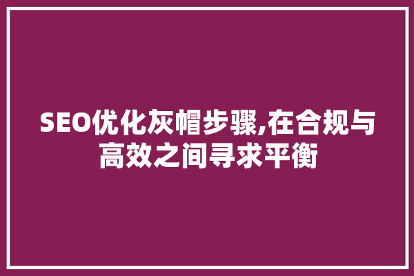 SEO优化灰帽步骤,在合规与高效之间寻求平衡