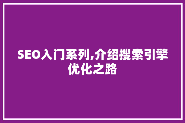 SEO入门系列,介绍搜索引擎优化之路