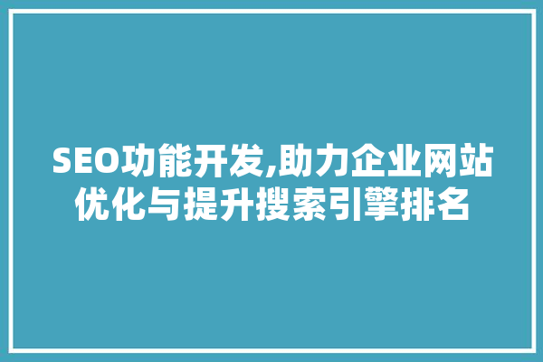 SEO功能开发,助力企业网站优化与提升搜索引擎排名