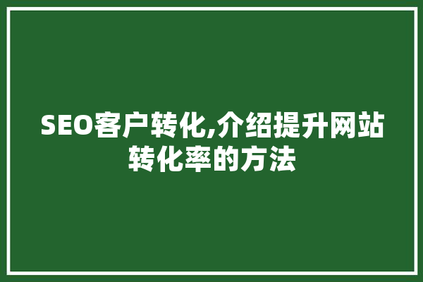 SEO客户转化,介绍提升网站转化率的方法 智能写作