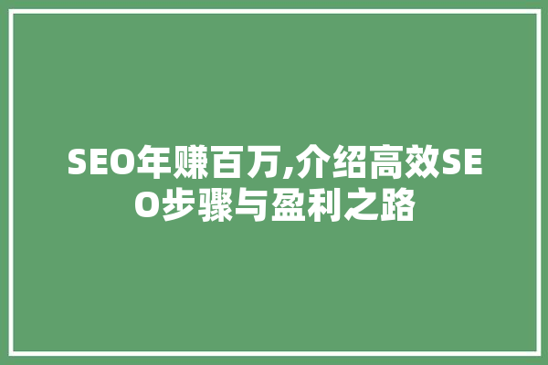 SEO年赚百万,介绍高效SEO步骤与盈利之路