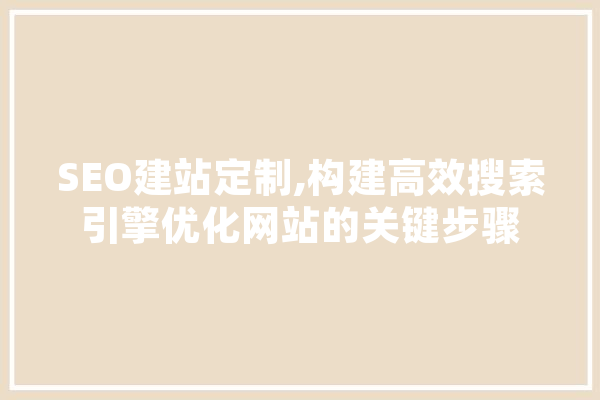 SEO建站定制,构建高效搜索引擎优化网站的关键步骤