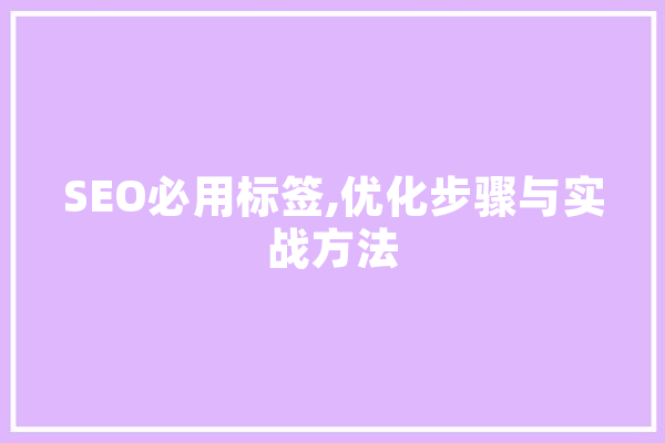 SEO必用标签,优化步骤与实战方法