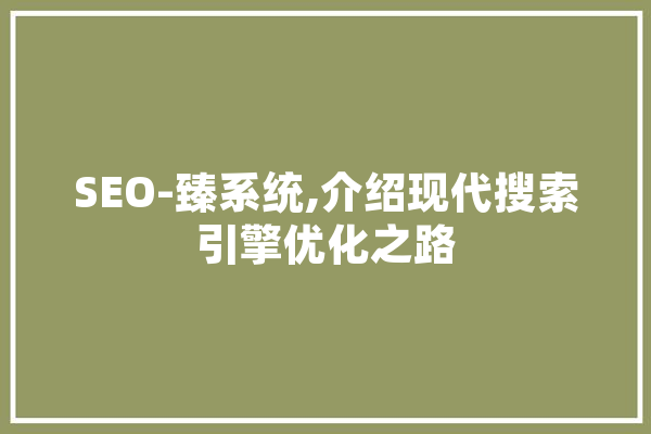 SEO-臻系统,介绍现代搜索引擎优化之路