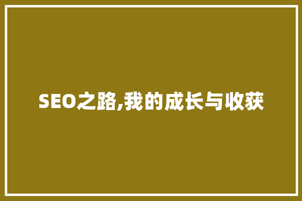 SEO之路,我的成长与收获 绘影字幕