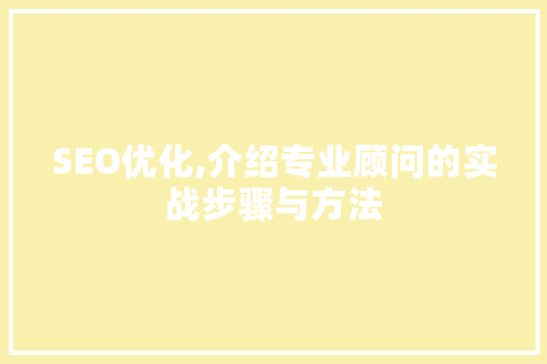 SEO优化,介绍专业顾问的实战步骤与方法