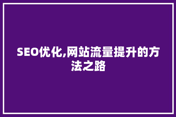 SEO优化,网站流量提升的方法之路