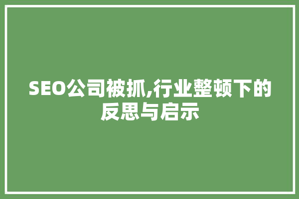 SEO公司被抓,行业整顿下的反思与启示