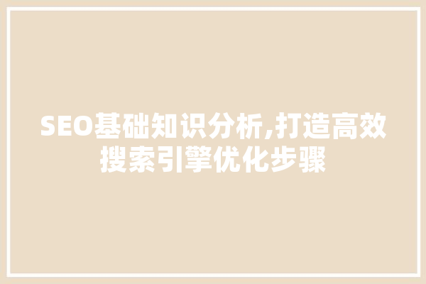 SEO基础知识分析,打造高效搜索引擎优化步骤 云服务