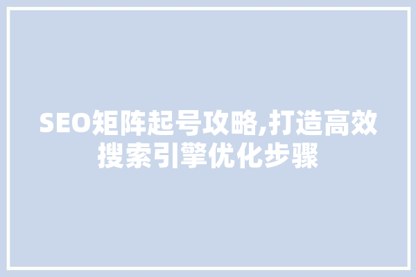 SEO矩阵起号攻略,打造高效搜索引擎优化步骤