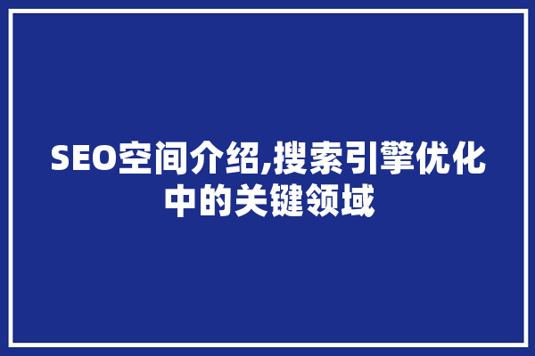 SEO空间介绍,搜索引擎优化中的关键领域