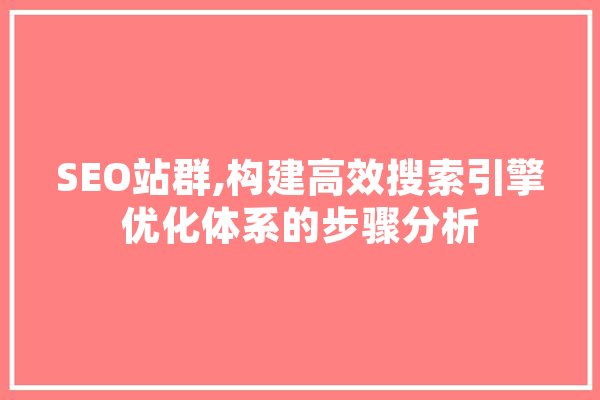 SEO站群,构建高效搜索引擎优化体系的步骤分析