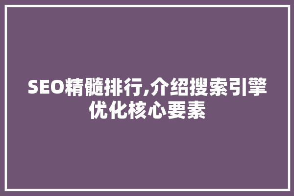 SEO精髓排行,介绍搜索引擎优化核心要素