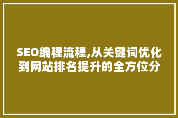 SEO编程流程,从关键词优化到网站排名提升的全方位分析 计算机