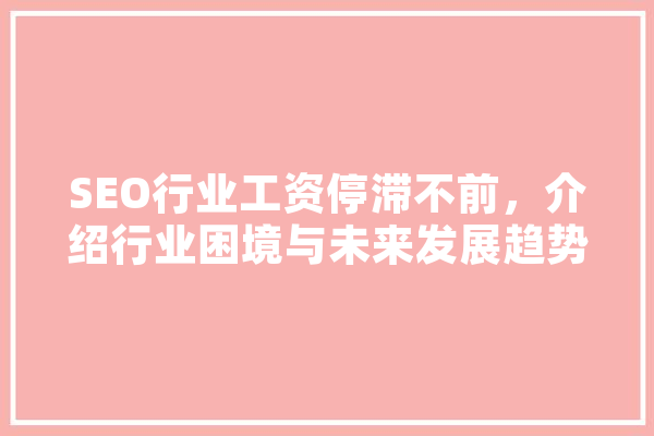 SEO行业工资停滞不前，介绍行业困境与未来发展趋势
