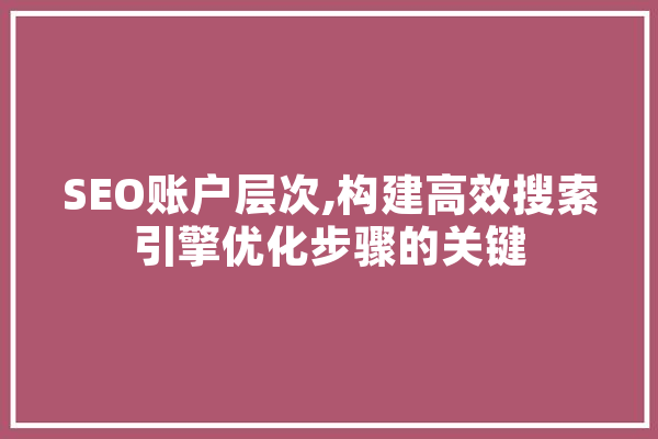 SEO账户层次,构建高效搜索引擎优化步骤的关键