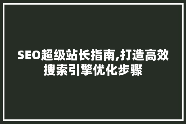 SEO超级站长指南,打造高效搜索引擎优化步骤