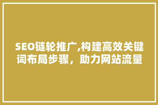 SEO链轮推广,构建高效关键词布局步骤，助力网站流量提升