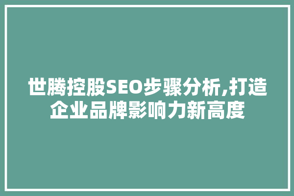 世腾控股SEO步骤分析,打造企业品牌影响力新高度