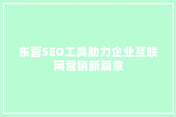 东营SEO工具助力企业互联网营销新篇章