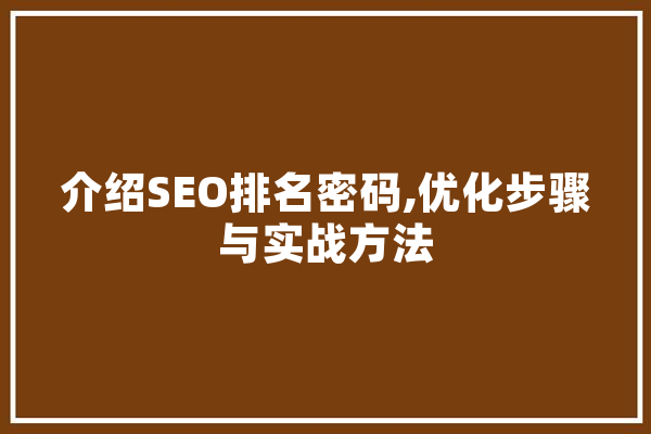 介绍SEO排名密码,优化步骤与实战方法