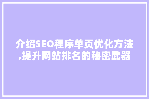 介绍SEO程序单页优化方法,提升网站排名的秘密武器