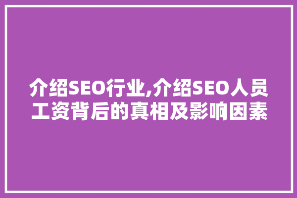 介绍SEO行业,介绍SEO人员工资背后的真相及影响因素