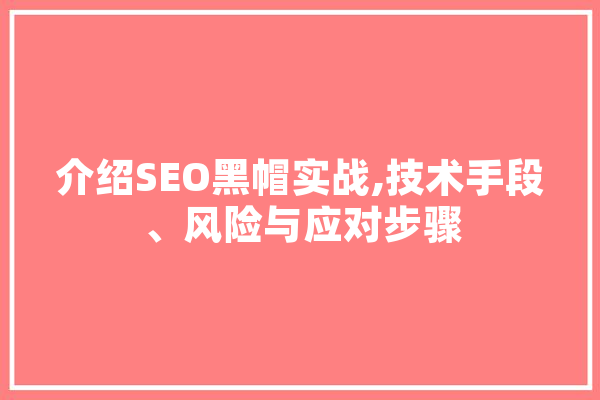 介绍SEO黑帽实战,技术手段、风险与应对步骤