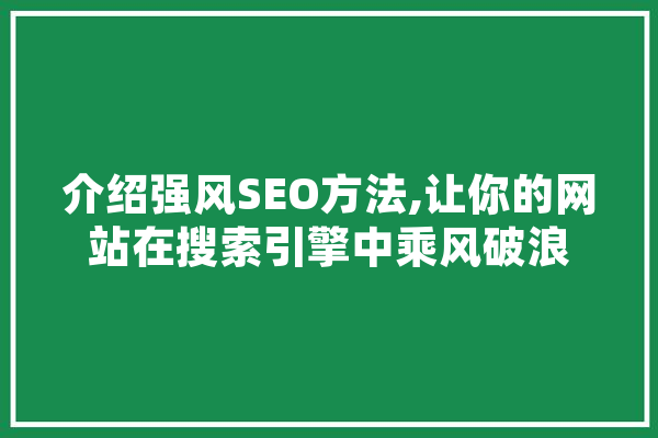 介绍强风SEO方法,让你的网站在搜索引擎中乘风破浪